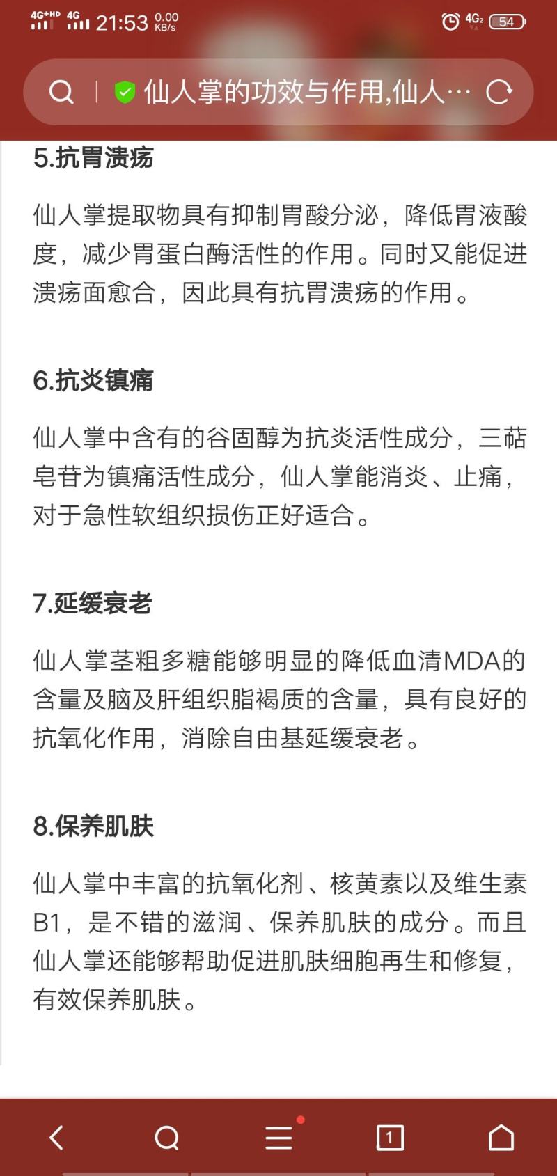 海南野生仙人掌果