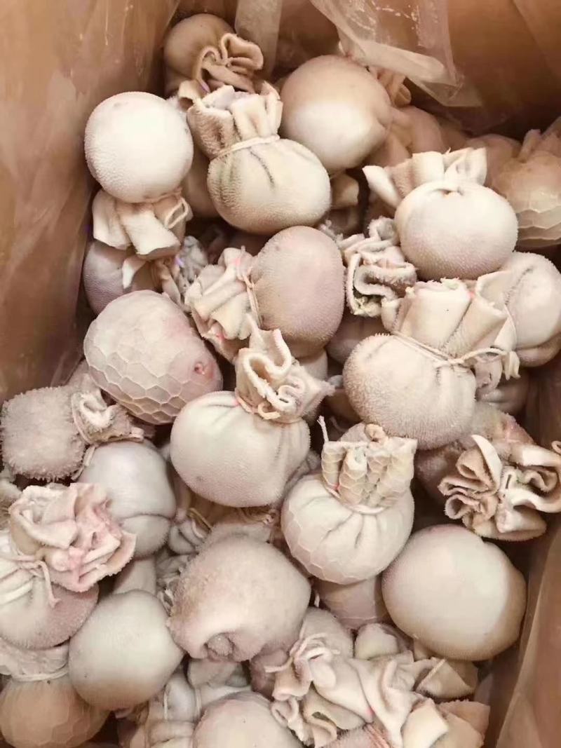 纯手工羊肚包脑羊肚包肉自己加工厂一手货源