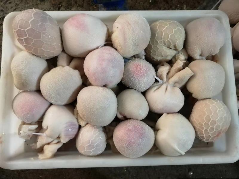 纯手工羊肚包脑羊肚包肉自己加工厂一手货源