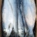 白鲢鱼是深海里的鱼肉紧实细腻蒸、炸、煎飞常不错的一款好鱼