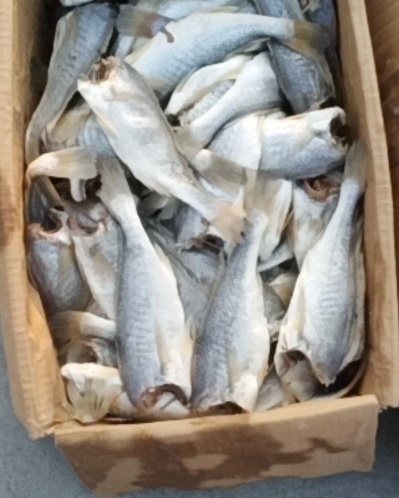 去头去内脏的晾制的黄花鱼6肉质紧实细腻蒸、炸、炖、