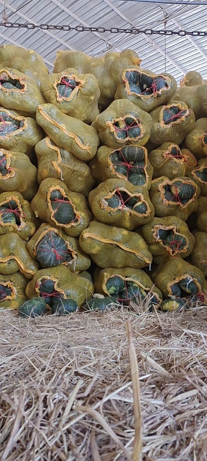 金品板栗南瓜大量有货