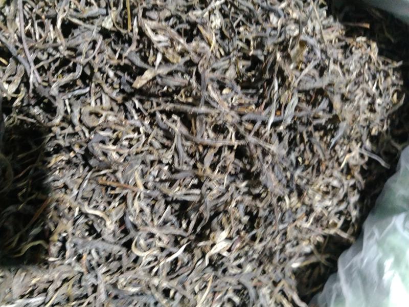 十万火急，因本人急需资金周转现处理一批今年春茶现有700