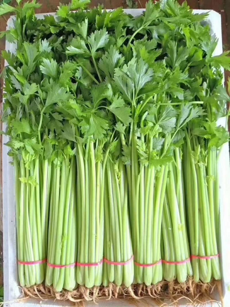 质量为本，诚信第一，合作共赢！
