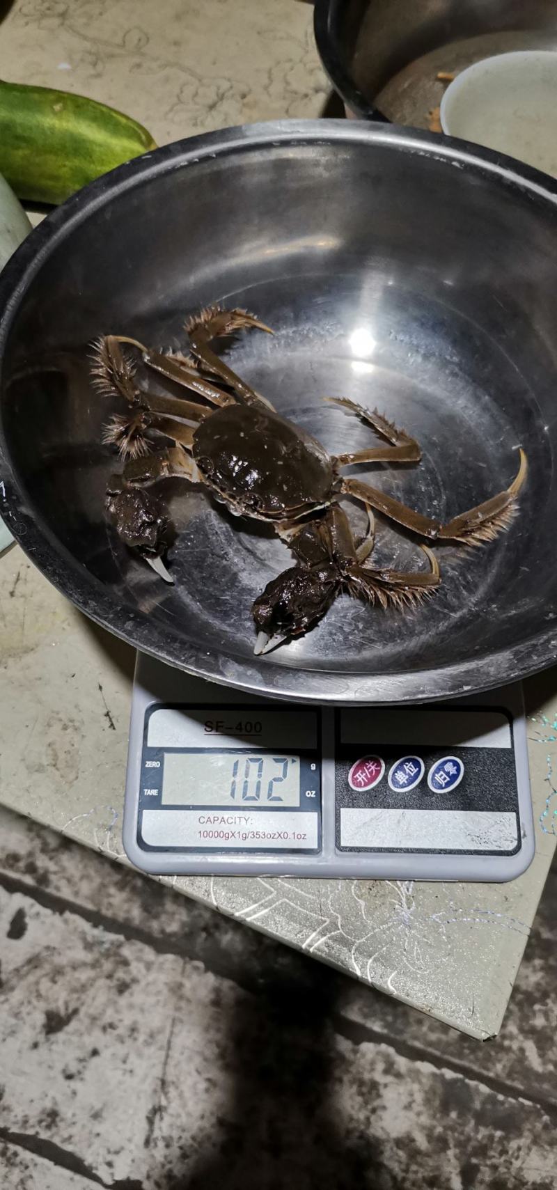 东北大螃蟹，个大黄多膏肥。母蟹1两半以上，公蟹2两以上。