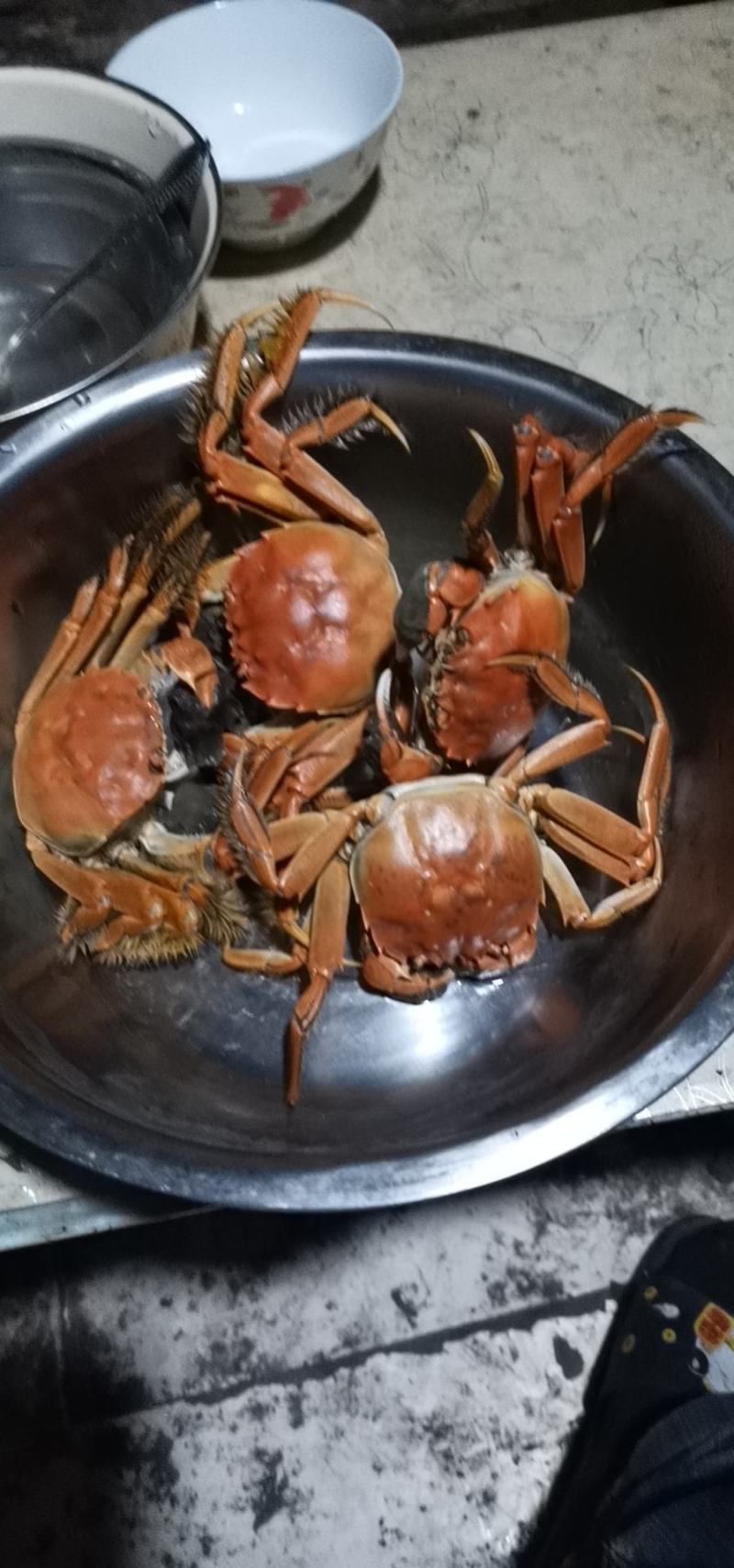 东北大螃蟹，个大黄多膏肥。母蟹1两半以上，公蟹2两以上。