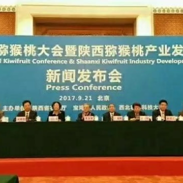 猕猴桃秦美，徐香，海沃德，多品种