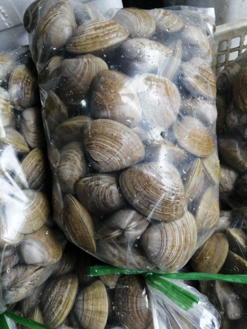 黄蚬子，香螺，海螺，红螺，钉螺