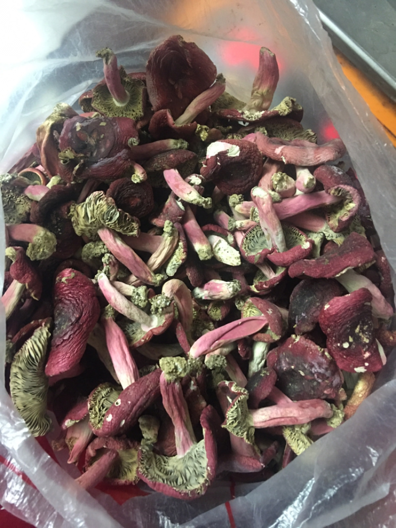 江西赣南正宗野生深山红菇蓝底红脚小脚带土肉厚