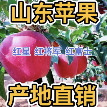 纸袋红星品种颜色好价格低口感脆甜大量有货