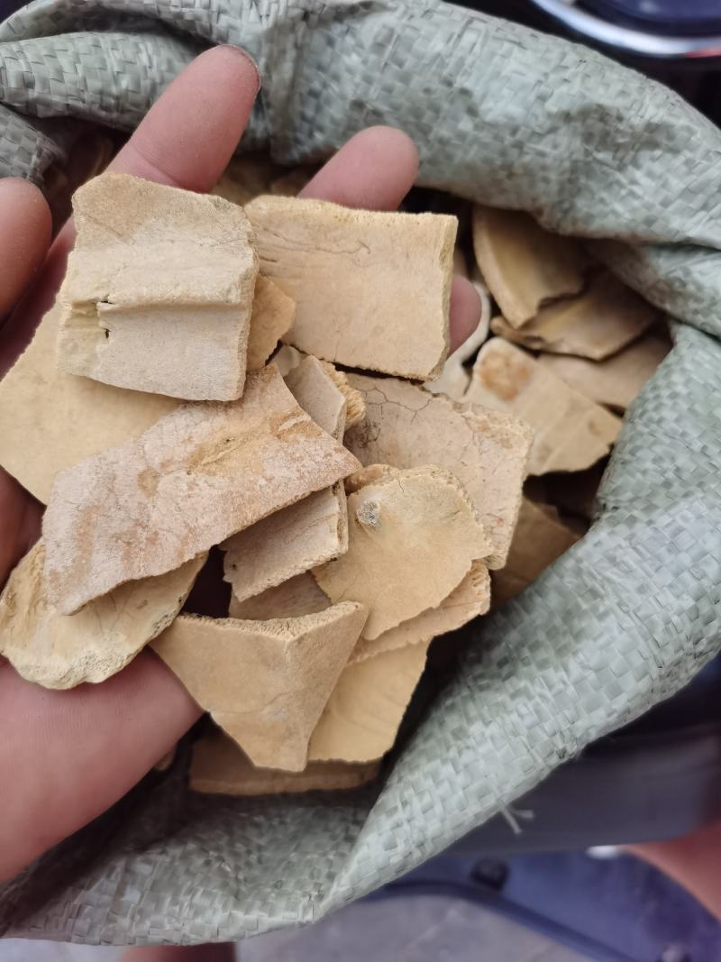龟板大片制龟板炙龟板无杂质中药材批发无条件退货