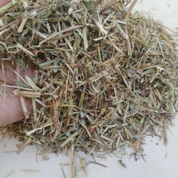 花生秧，价格美丽品质上乘，牛羊好料，营养丰富！
