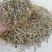 花生秧，价格美丽品质上乘，牛羊好料，营养丰富！