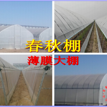 春秋棚冷棚单体拱棚插地棚薄膜蔬菜大棚昱泰温室大棚设计建设