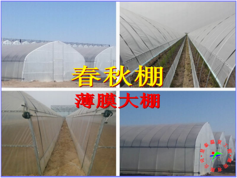 春秋棚冷棚单体拱棚插地棚薄膜蔬菜大棚昱泰温室大棚设计建设