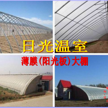 日光温室几字钢椭圆管大棚薄膜蔬菜大棚昱泰温室大棚设计建设
