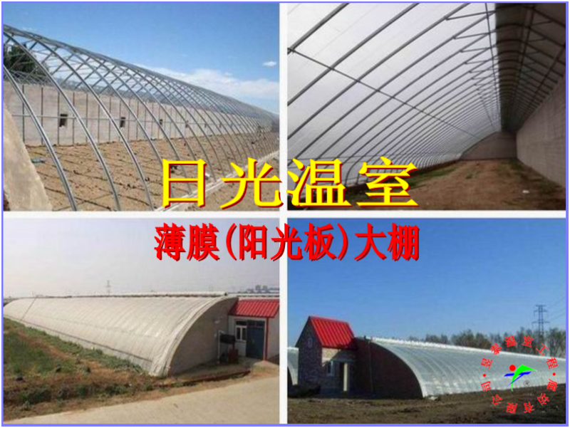 日光温室几字钢椭圆管大棚薄膜蔬菜大棚昱泰温室大棚设计建设