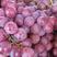 陕西蒲城红提葡萄大量上市，颗粒大，颜色红，口感好大量供应