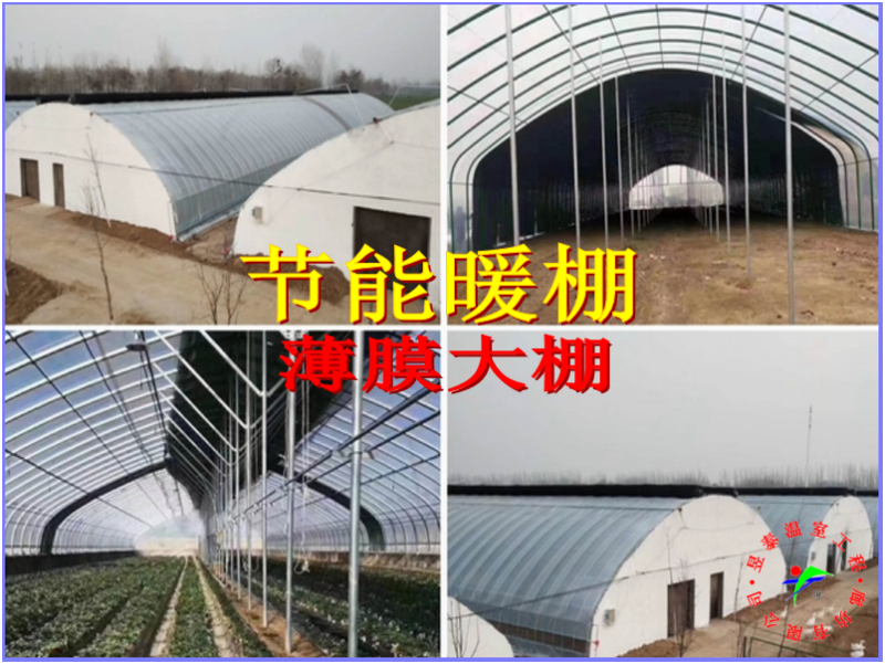 暖棚日光大棚钢架薄膜大棚蔬菜种植大棚昱泰温室大棚设计建设