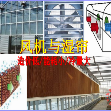 温室大棚负压风机降温湿帘水帘轴流风机昱泰温室