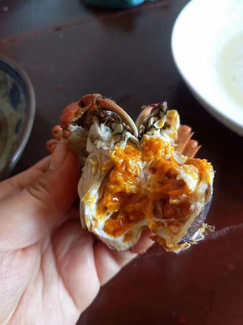 阳澄湖大闸蟹批发欢迎各位老板订购合作共赢