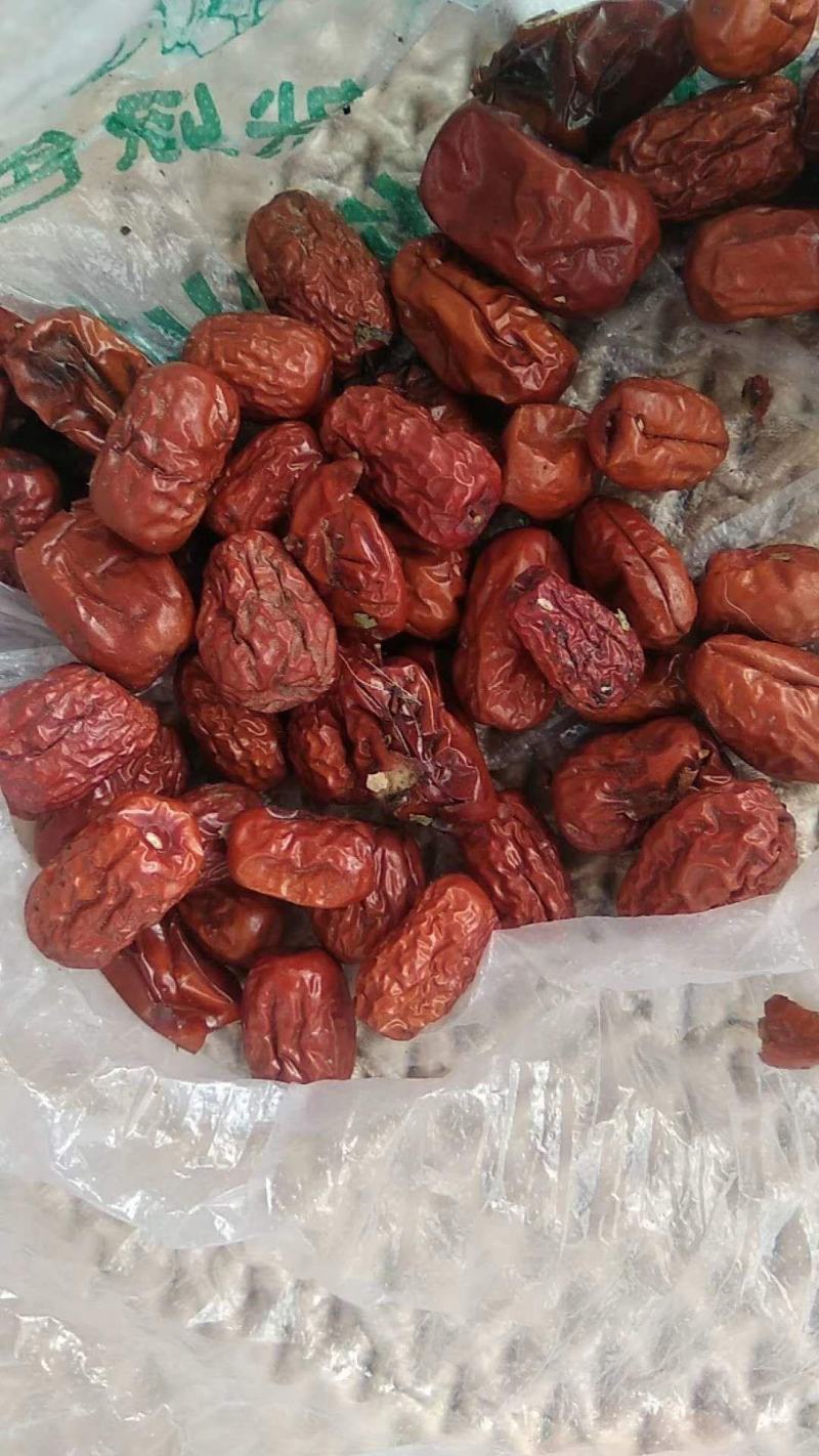 枣粉饲料，糖分高，品质上乘，猪牛羊牲畜饲料，质优价廉！