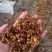 枣粉饲料，糖分高，品质上乘，猪牛羊牲畜饲料，质优价廉！