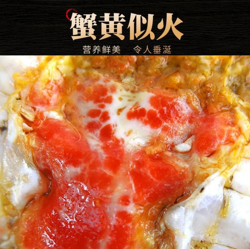 大闸蟹鲜活现货大闸蟹公蟹母螃蟹六月黄礼盒包邮