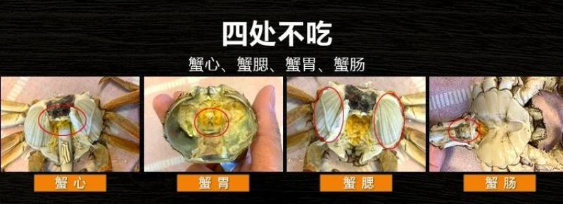 大闸蟹鲜活现货大闸蟹公蟹母螃蟹六月黄礼盒包邮