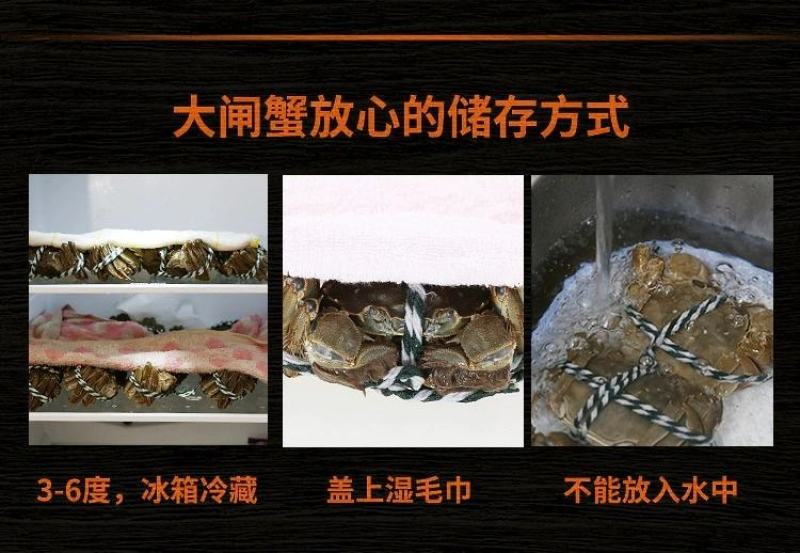 大闸蟹鲜活现货大闸蟹公蟹母螃蟹六月黄礼盒包邮