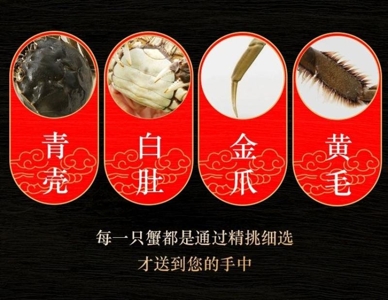 大闸蟹鲜活现货大闸蟹公蟹母螃蟹六月黄礼盒包邮