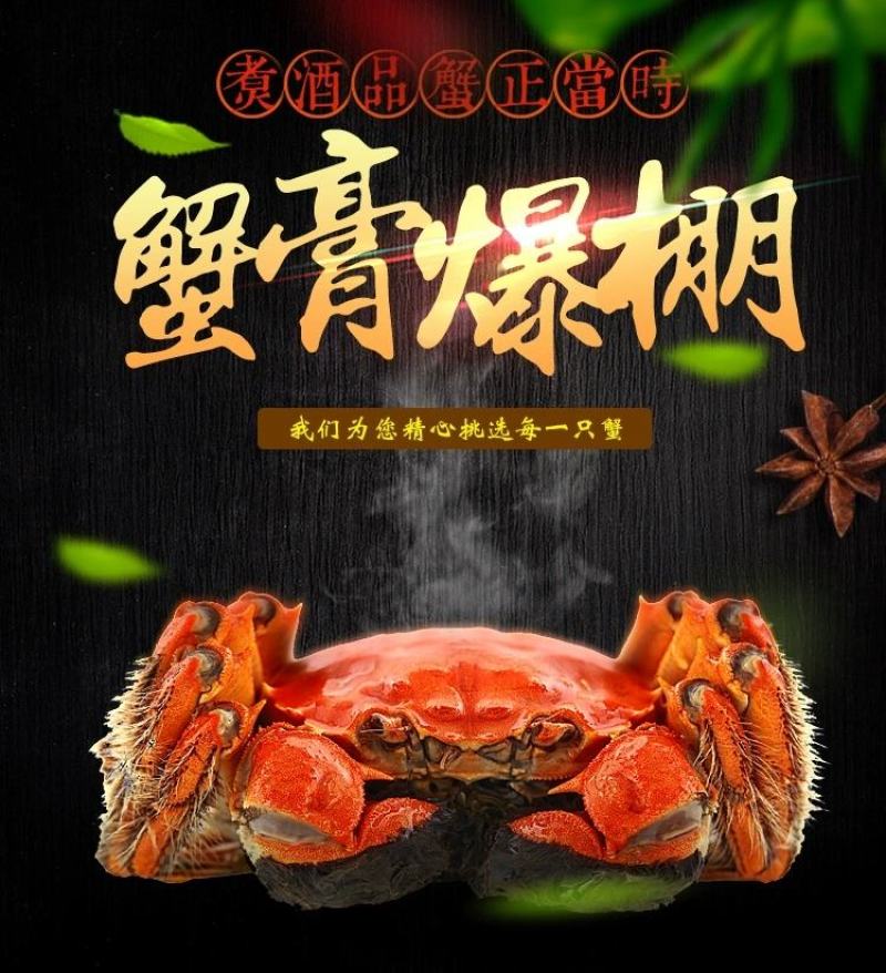 大闸蟹鲜活现货大闸蟹公蟹母螃蟹六月黄礼盒包邮