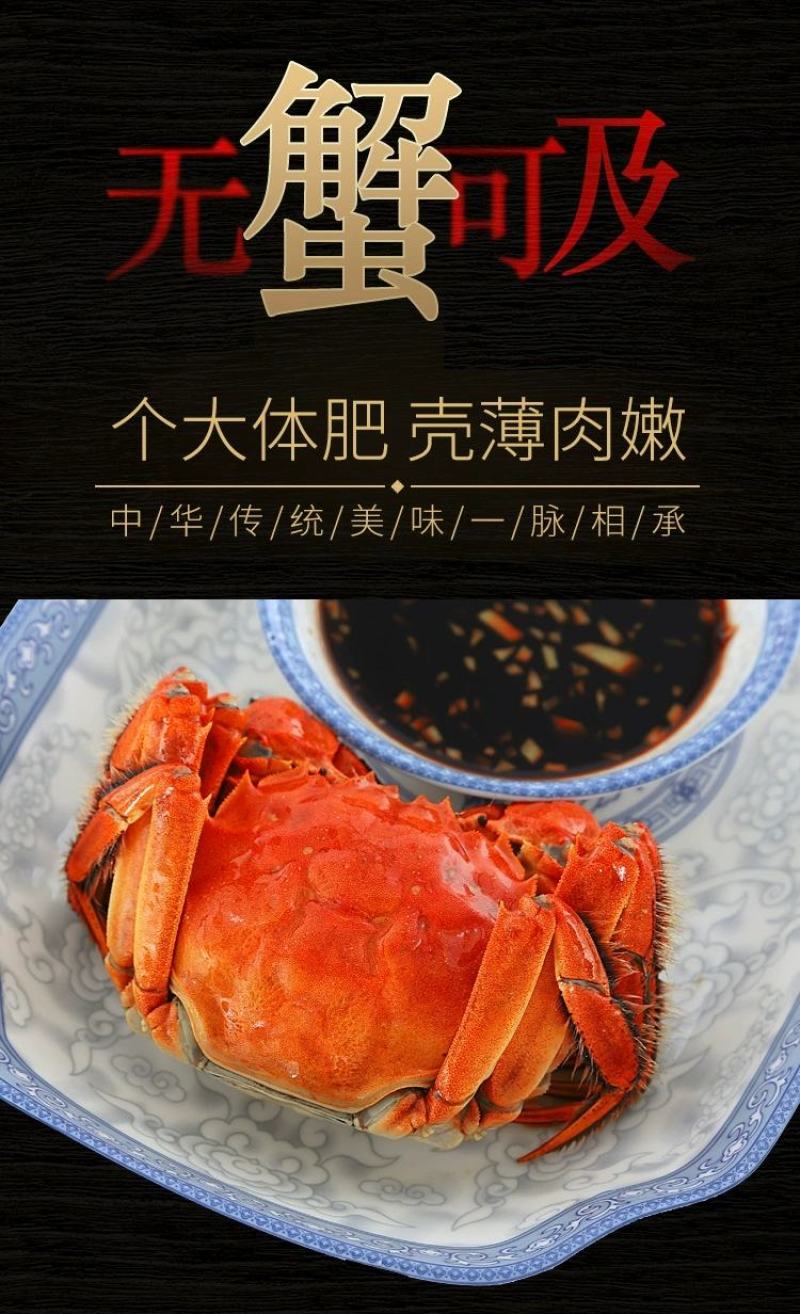 大闸蟹鲜活现货大闸蟹公蟹母螃蟹六月黄礼盒包邮