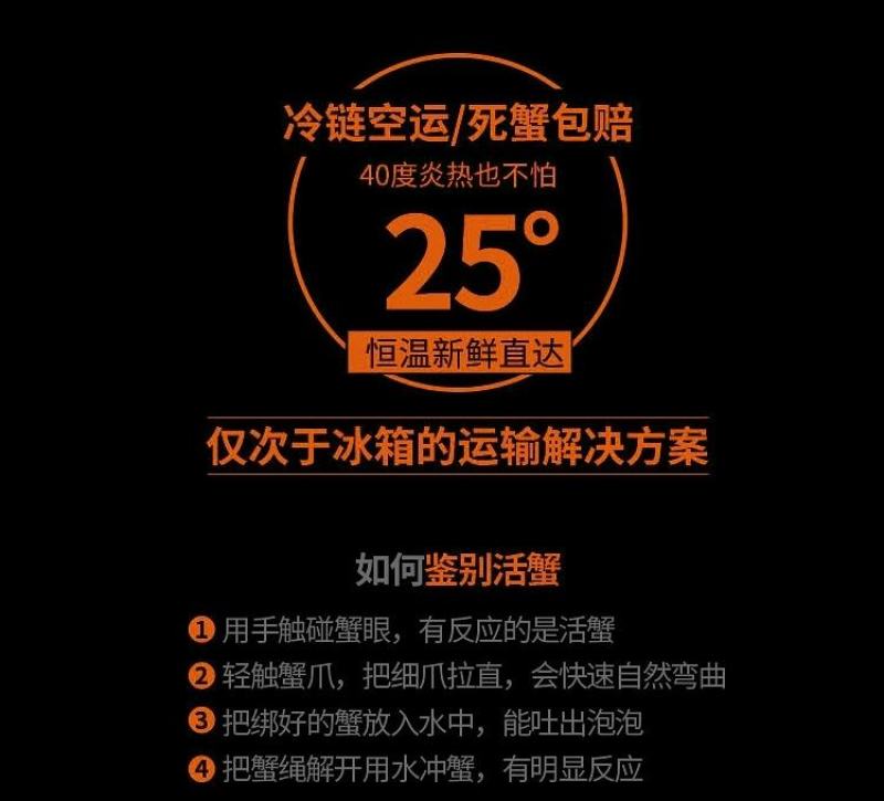 大闸蟹鲜活现货大闸蟹公蟹母螃蟹六月黄礼盒包邮