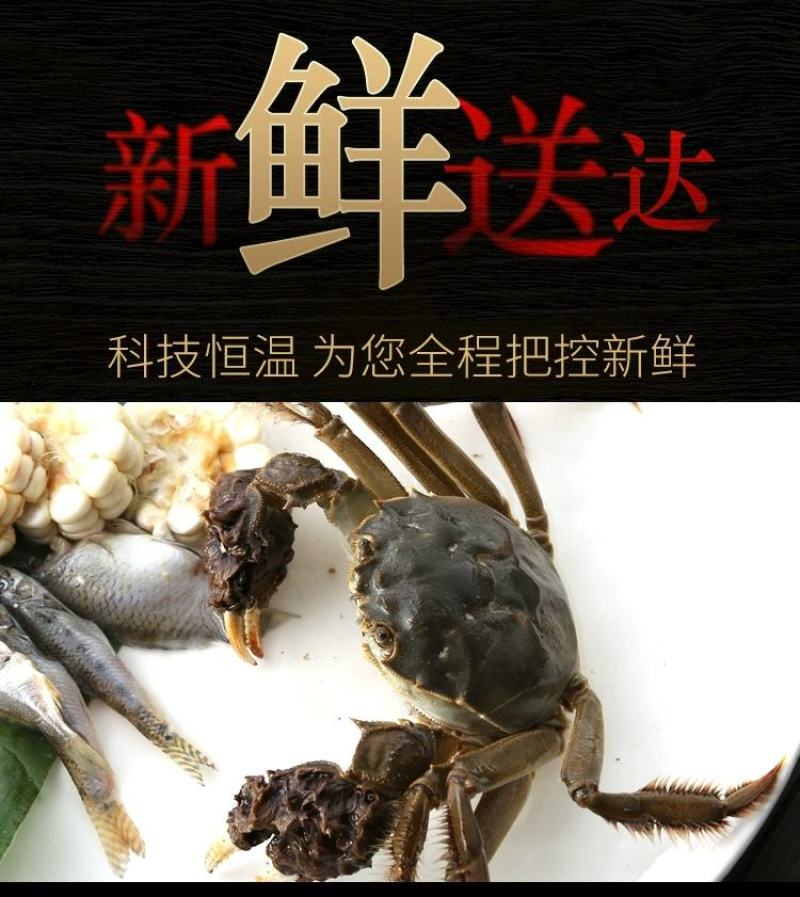 大闸蟹鲜活现货大闸蟹公蟹母螃蟹六月黄礼盒包邮