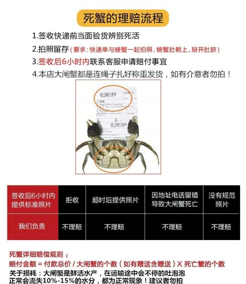 大闸蟹鲜活现货大闸蟹公蟹母螃蟹六月黄礼盒包邮