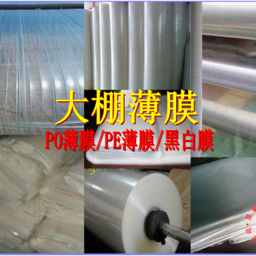 温室大棚薄膜PO膜PE膜黑白膜无滴长寿膜抗老化防雾滴昱泰
