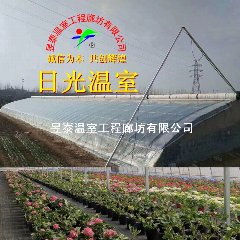温室大棚薄膜PO膜PE膜黑白膜无滴长寿膜抗老化防雾滴昱泰