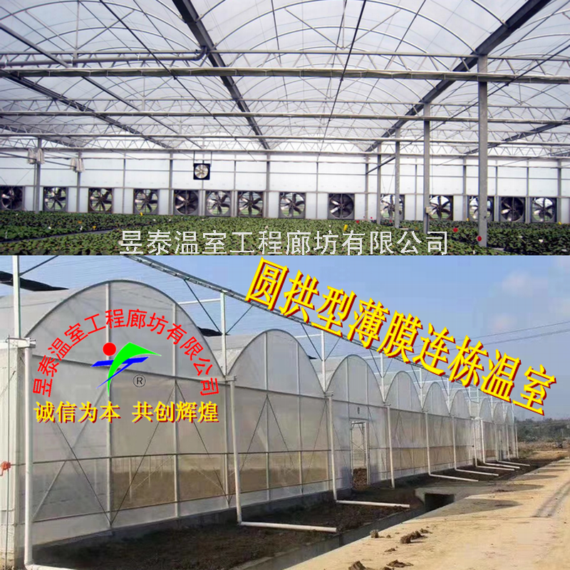 温室大棚薄膜PO膜PE膜黑白膜无滴长寿膜抗老化防雾滴昱泰