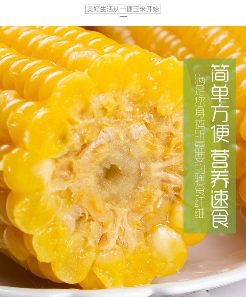 【一等黄糯】黑龙江黄糯玉米棒8/10根新鲜玉米真空包邮