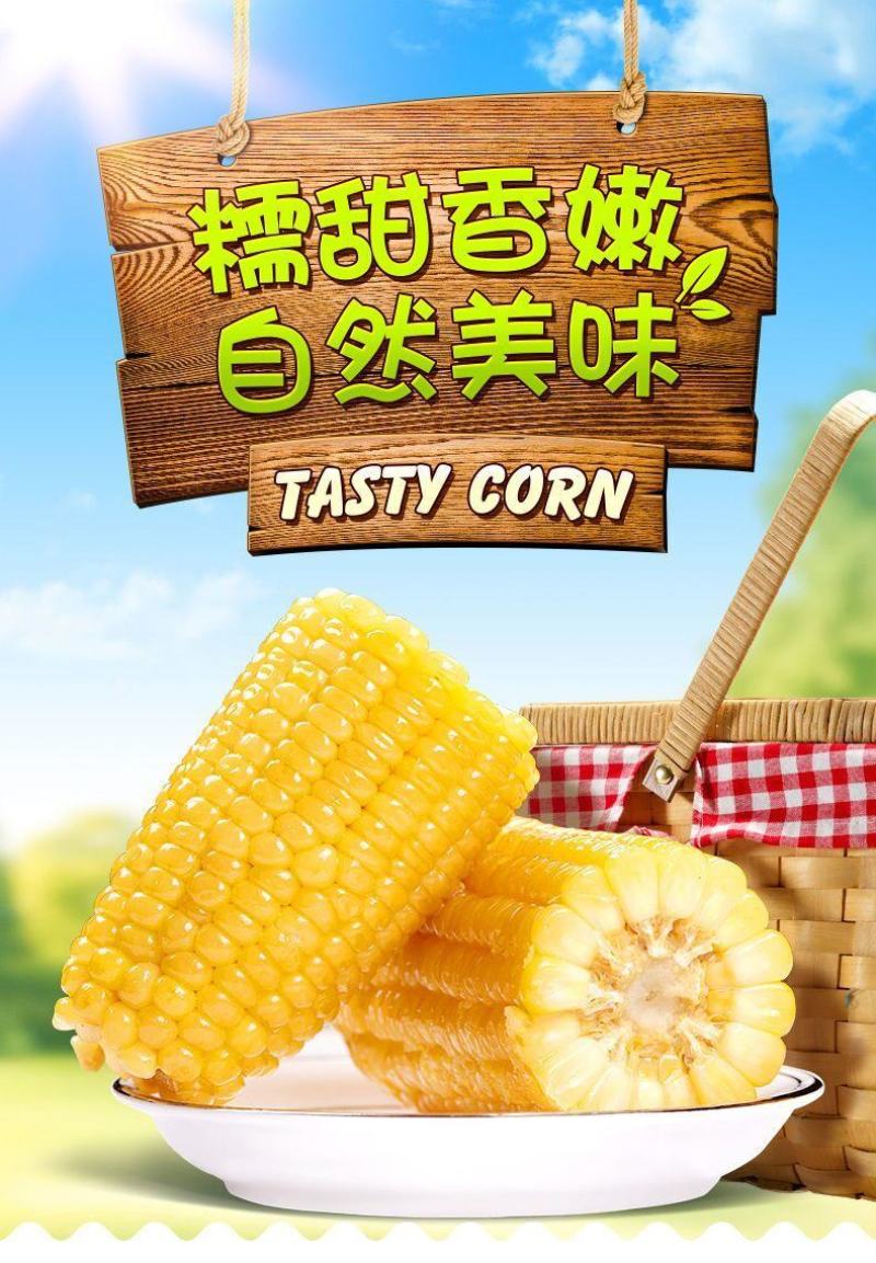 【一等黄糯】黑龙江黄糯玉米棒8/10根新鲜玉米真空包邮