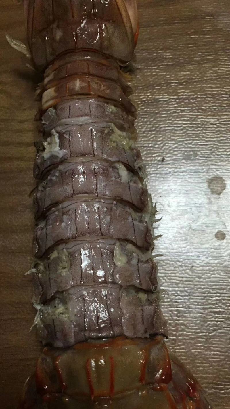 熟冻皮皮虾，厂家直销，三证齐全，可定制加工