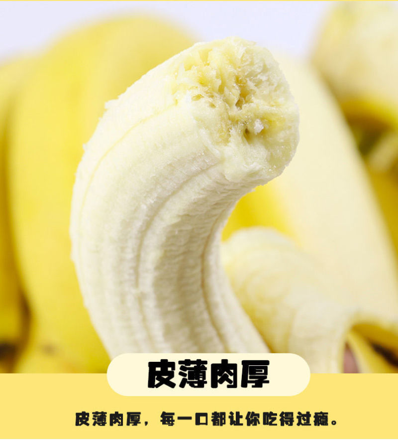 包邮云南香蕉整箱当季水果新鲜10斤自然熟十斤不是小米蕉