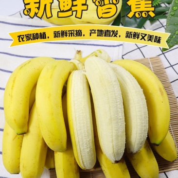 包邮云南香蕉整箱当季水果新鲜10斤自然熟十斤不是小米蕉