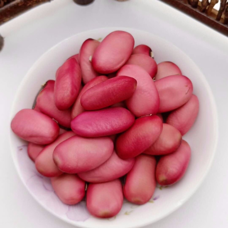 刀豆一手货源产地直销