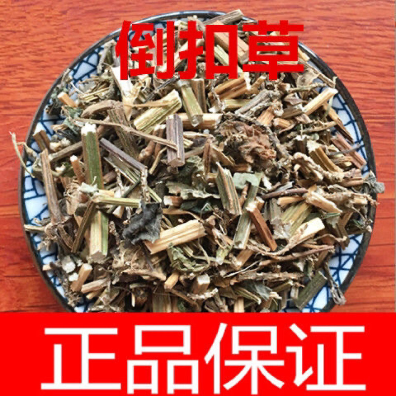 倒扣草一手货源产地直销