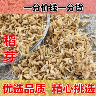稻芽一手货源产地直销