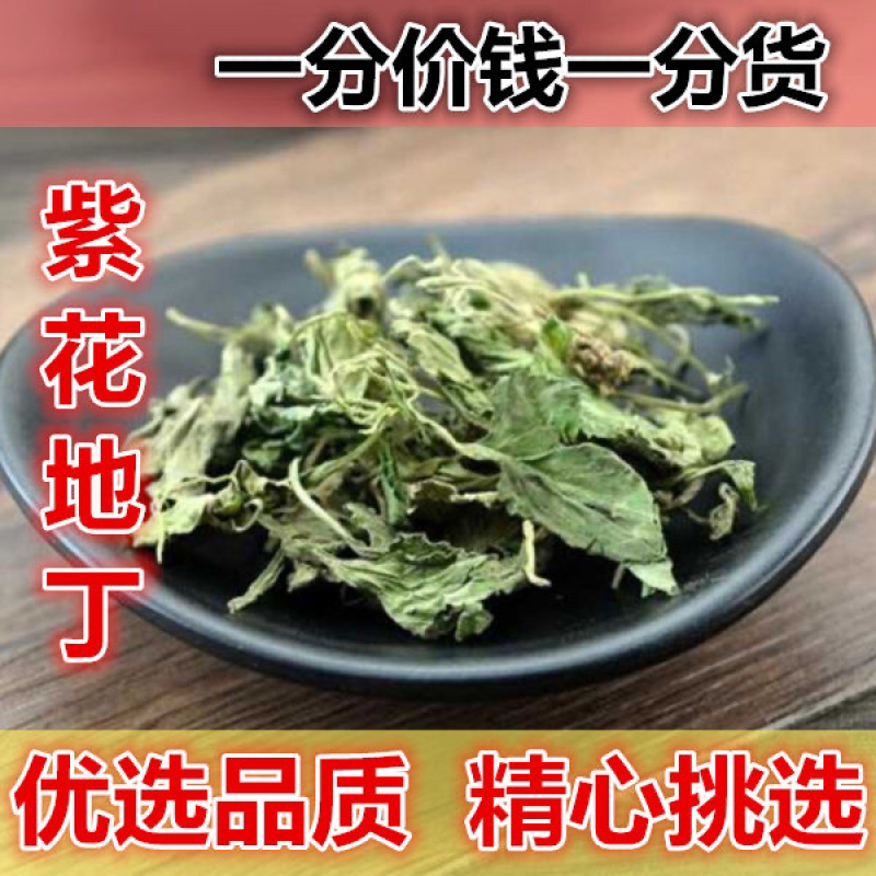 地丁草一手货源产地直销