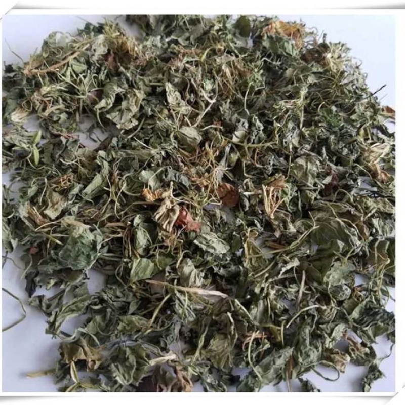 地丁草一手货源产地直销