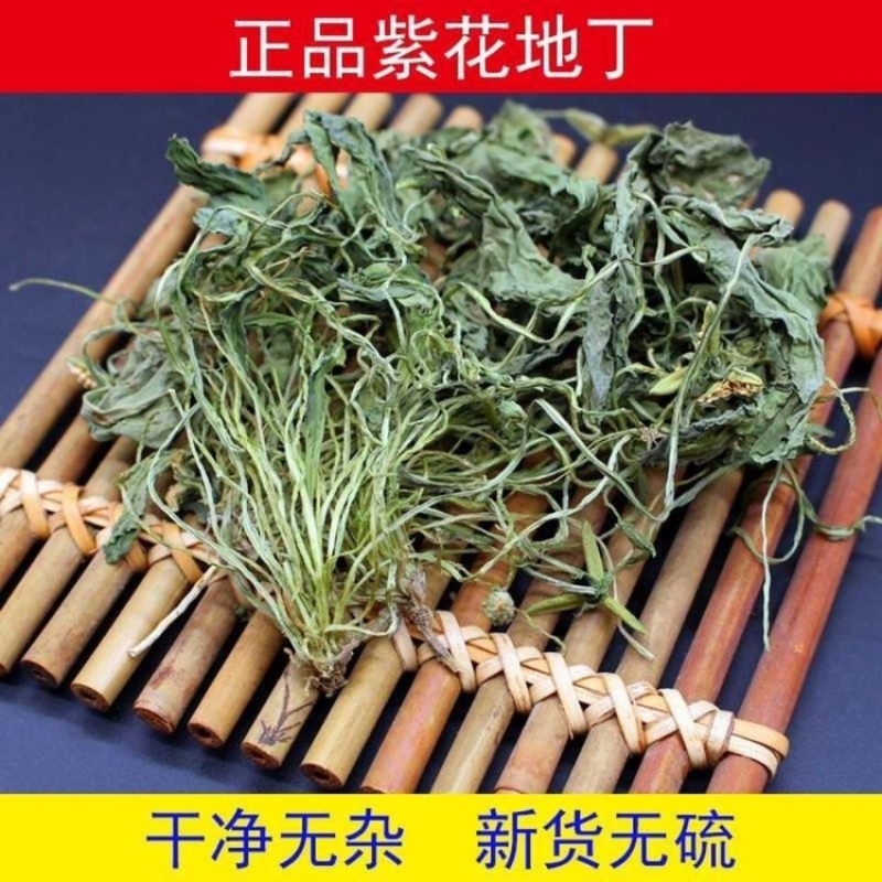 地丁草一手货源产地直销